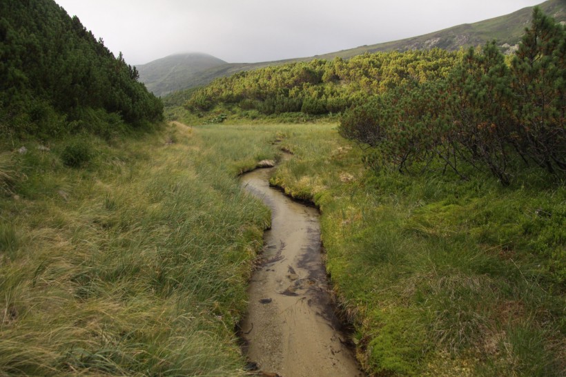 烏克蘭喀爾巴阡山自然風景圖片