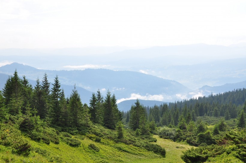 烏克蘭喀爾巴阡山自然風景圖片