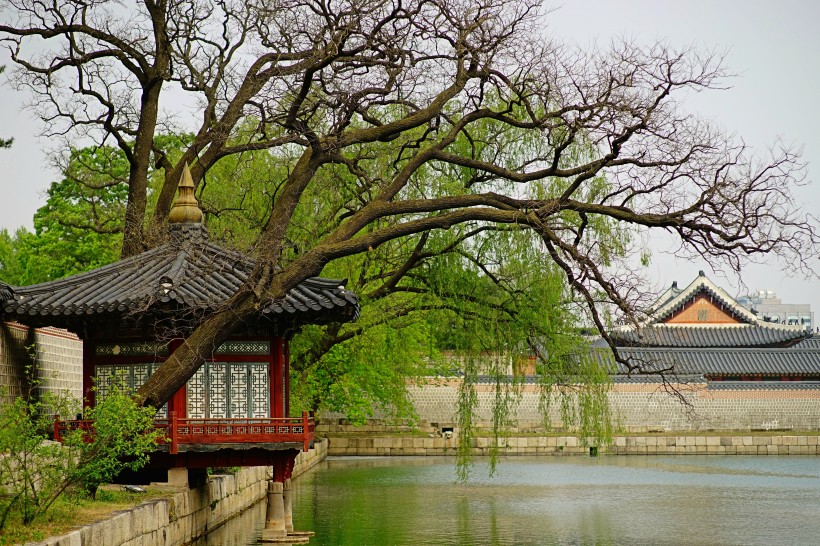 韓國首爾景福宮建築風景圖片