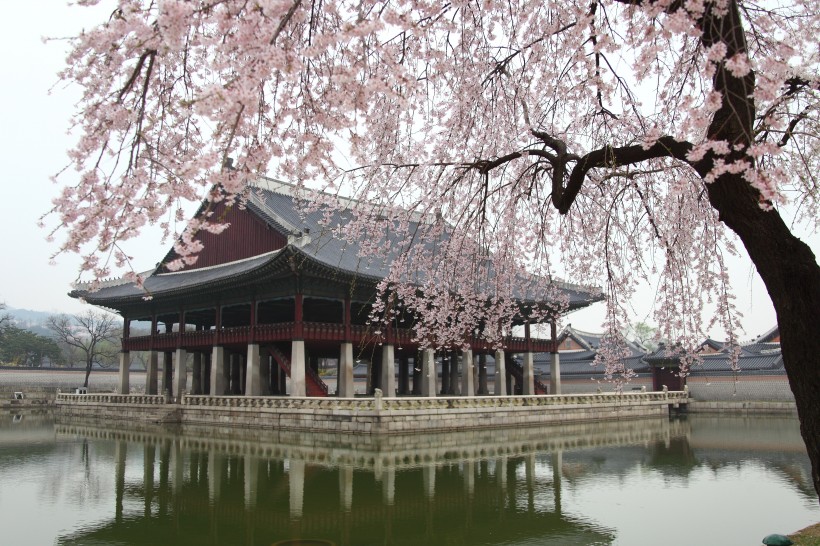 韓國首爾景福宮建築風景圖片