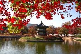 韓國首爾景福宮建築風景圖片