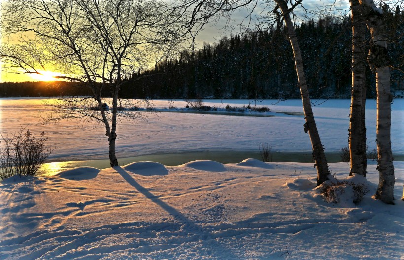 加拿大魁北克冬季雪景圖片