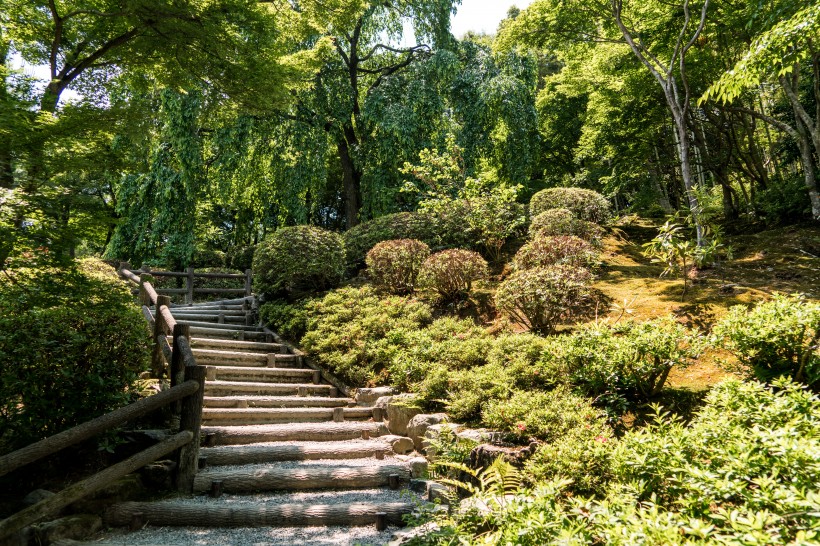 日本岚山風景圖片