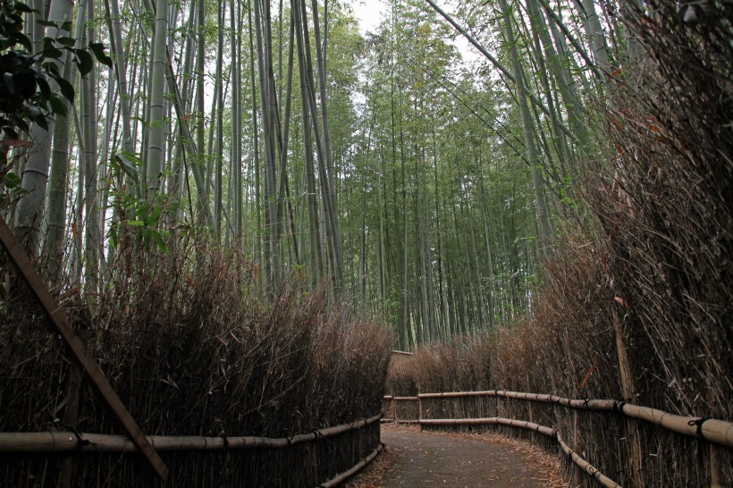 日本岚山風景圖片