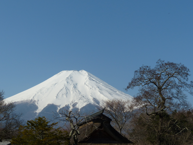 日本富士山圖片