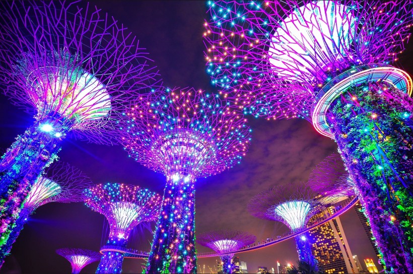 新加坡濱海灣花園風景圖片