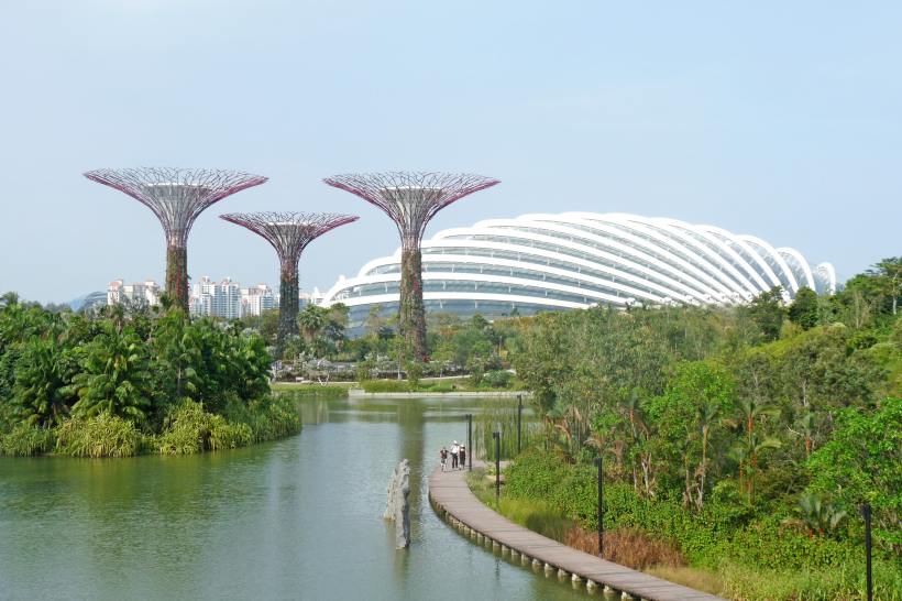 新加坡濱海灣花園風景圖片