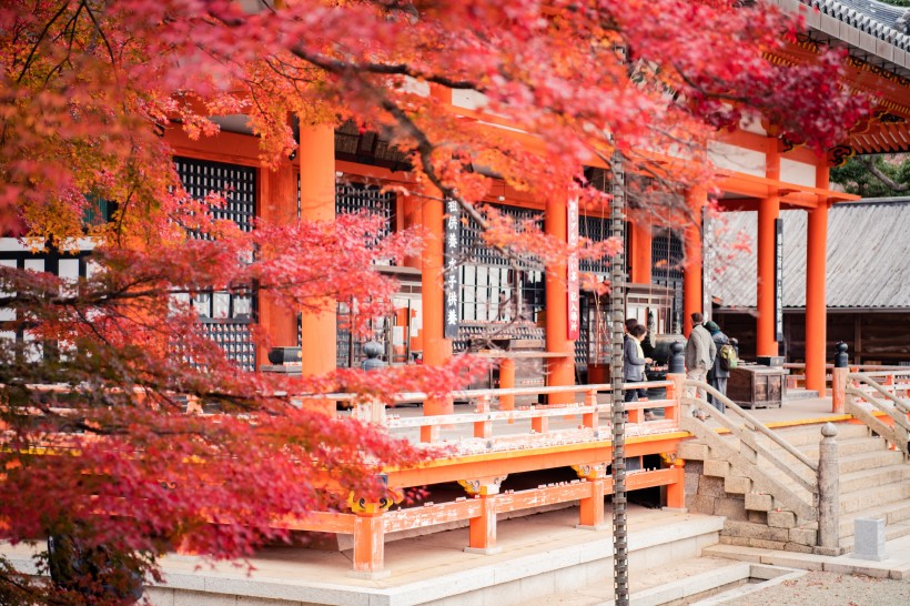 日本城市風光圖片