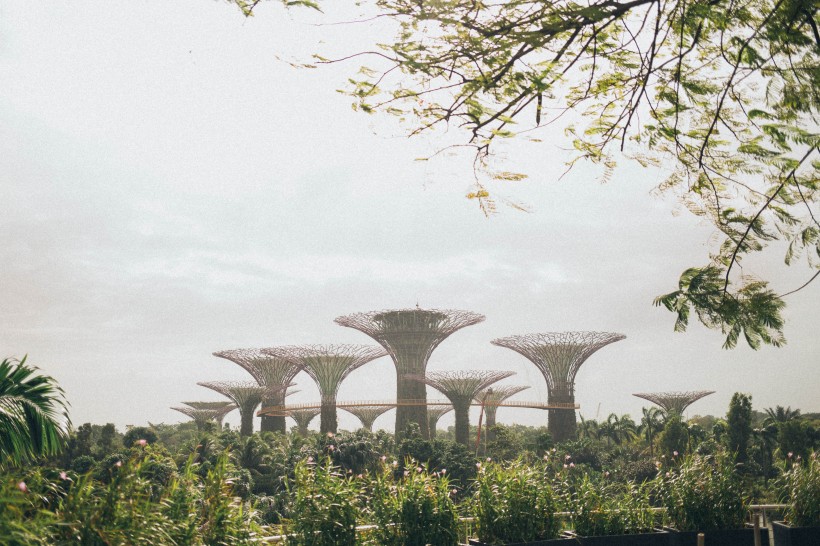 新加坡濱海灣花園風景圖片