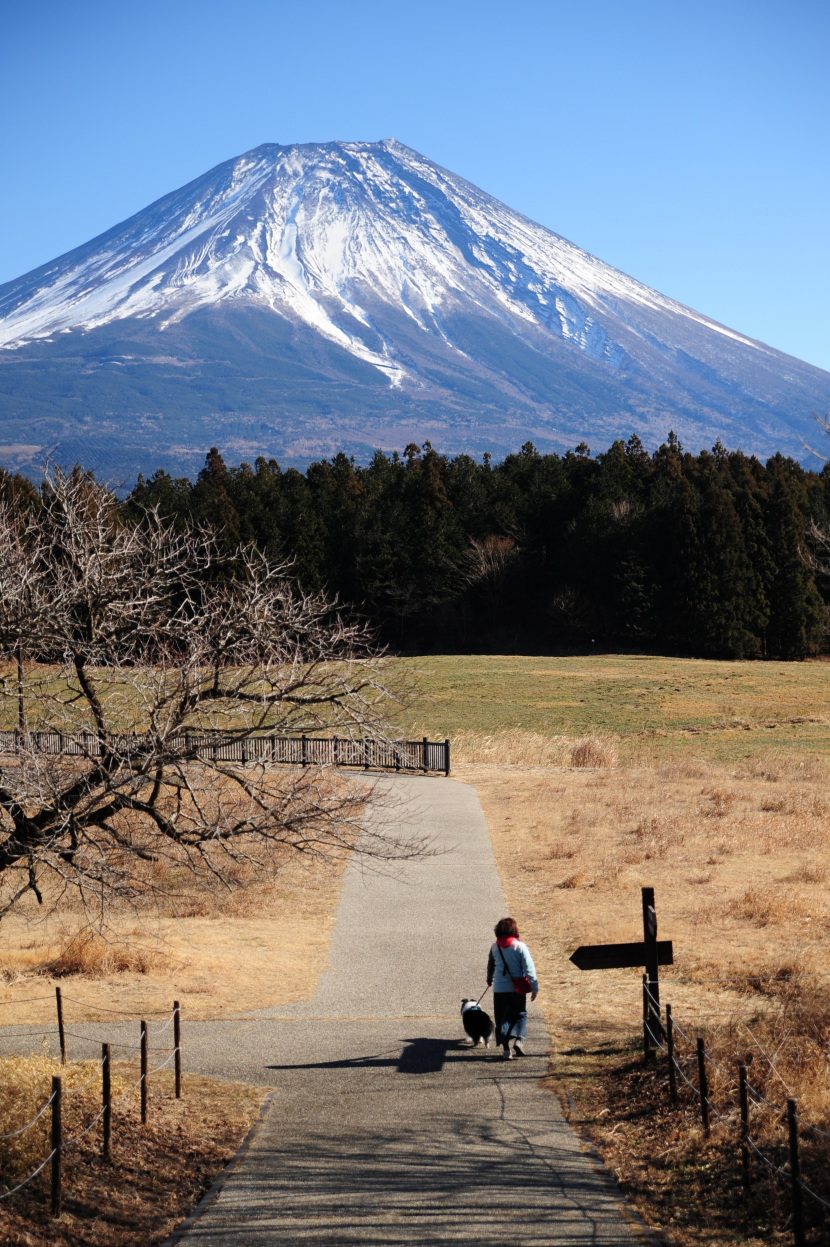 日本富士山自然風景圖片