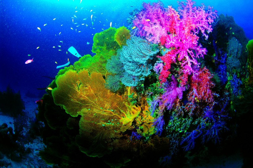 深海潛水圖片