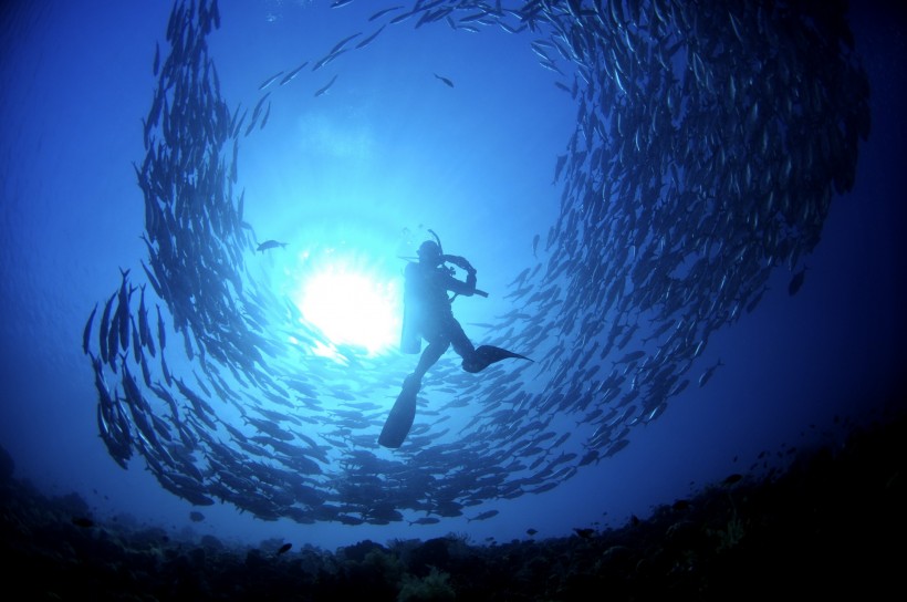 深海潛水圖片