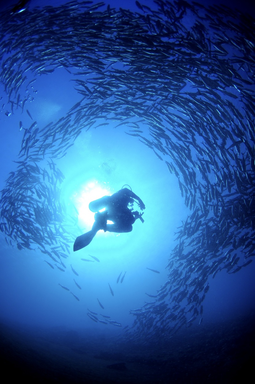 深海潛水圖片