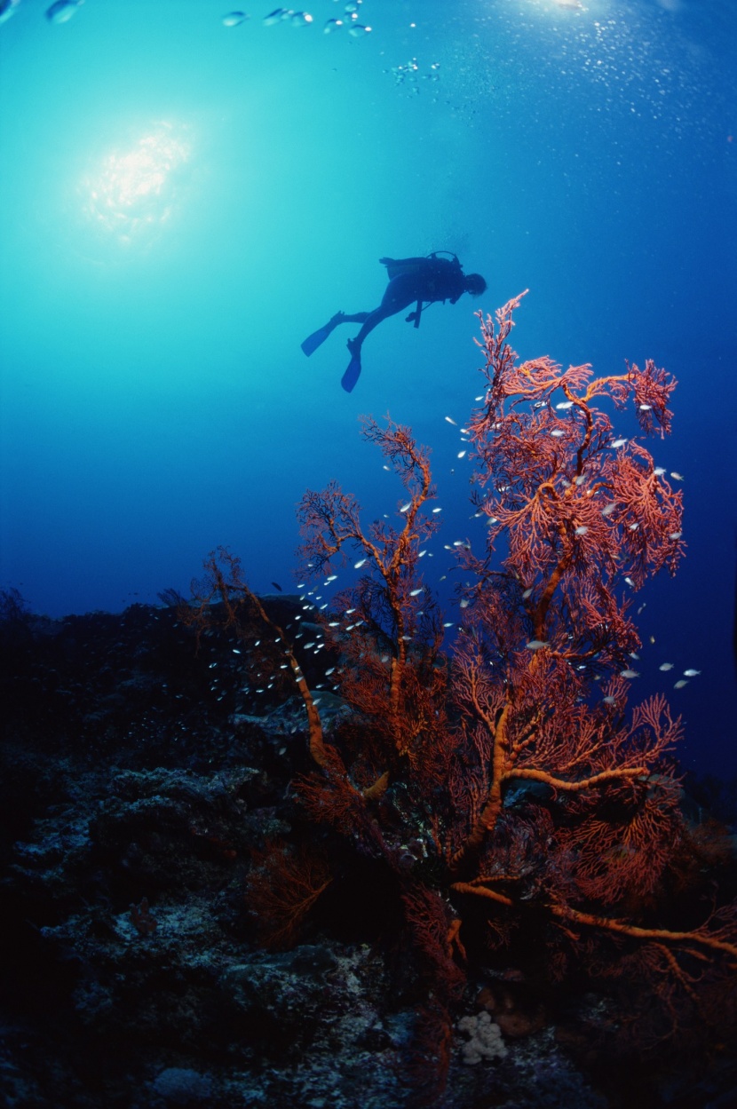 深海潛水圖片