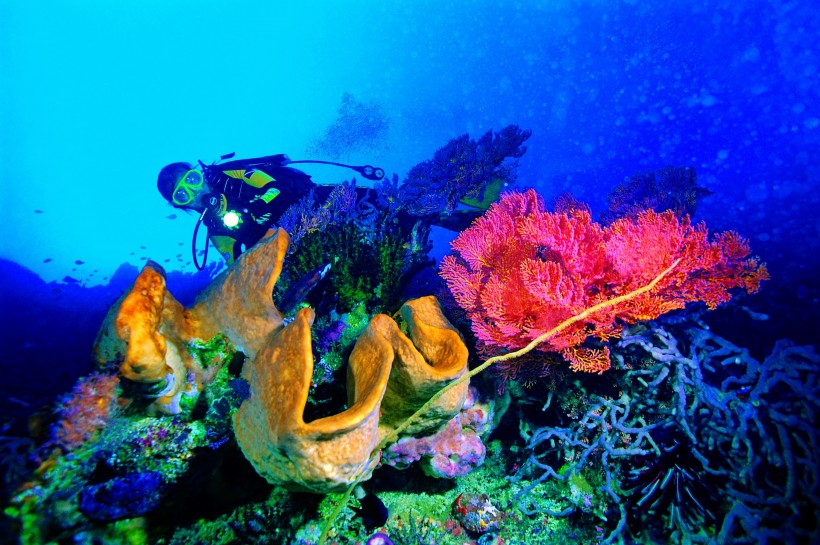 深海潛水圖片