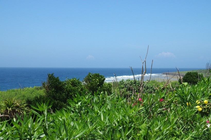 日本沖繩清澈的海水風景圖片