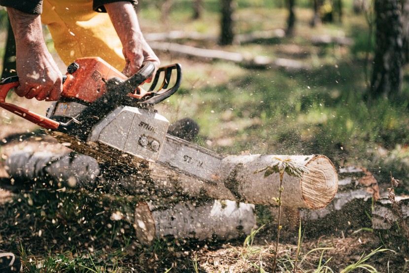 伐木的工人圖片