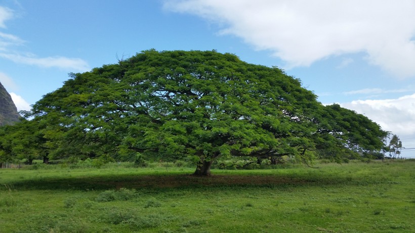 美國夏威夷風景圖片