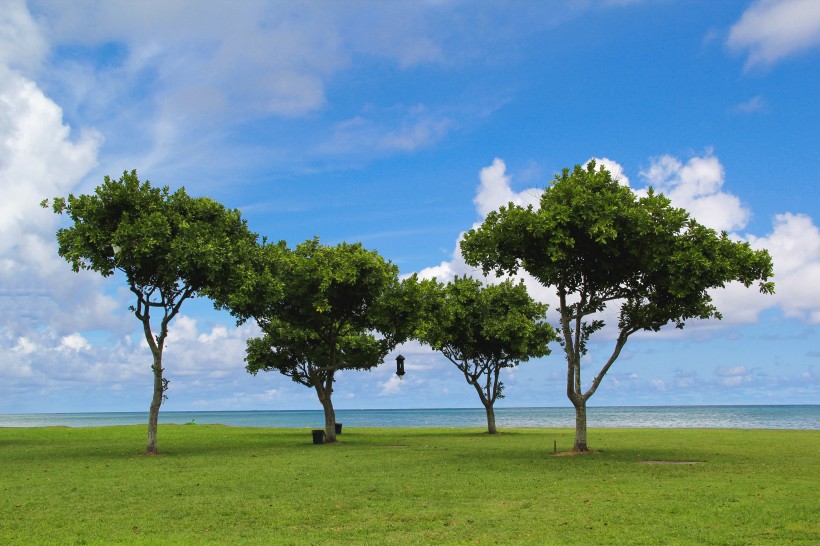 美國夏威夷風景圖片