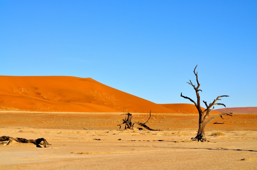 非洲納米比亞沙漠風景圖片