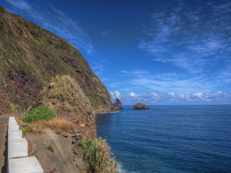 秀麗的大西洋上巴巴多斯島自然風景圖片