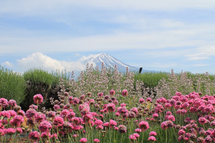 日本富士山自然風景圖片