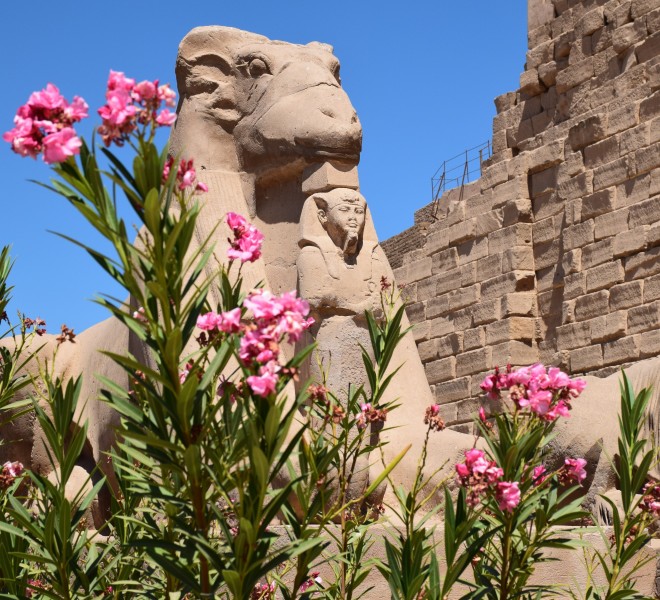 埃及盧克索建築風景圖片