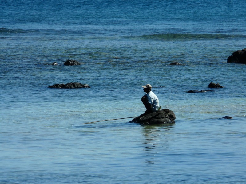 毛裡求斯海岸風景圖片