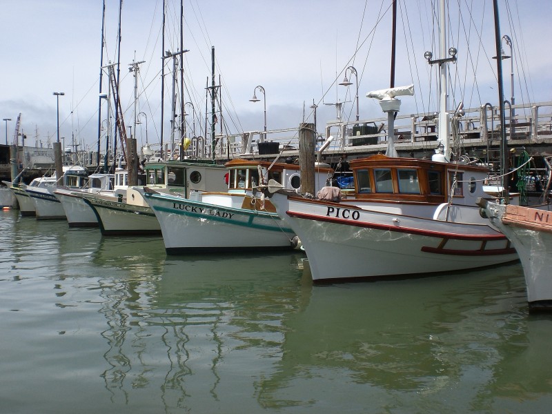 美國舊金山漁人碼頭風景圖片