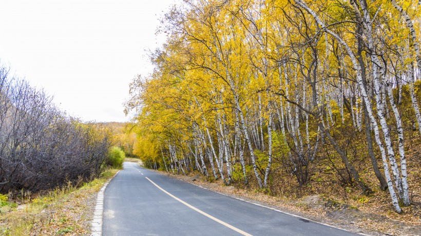 烏蘭布統草原秋天自然風景圖片