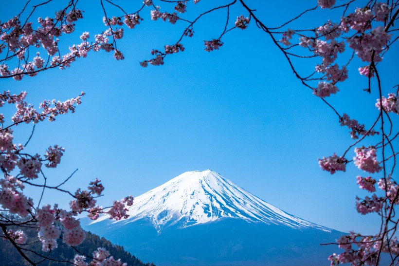 有積雪的富士山圖片