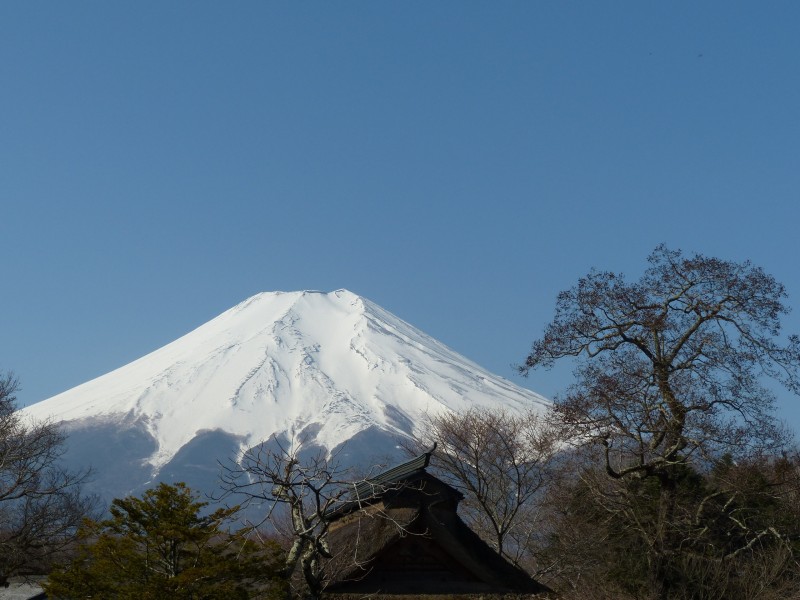 有積雪的富士山圖片