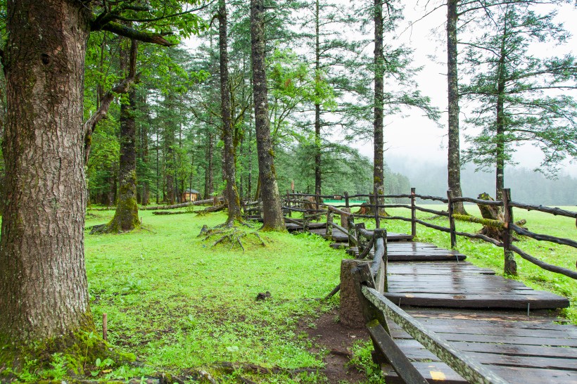 雲南麗江玉龍雪山藍月谷自然風景圖片