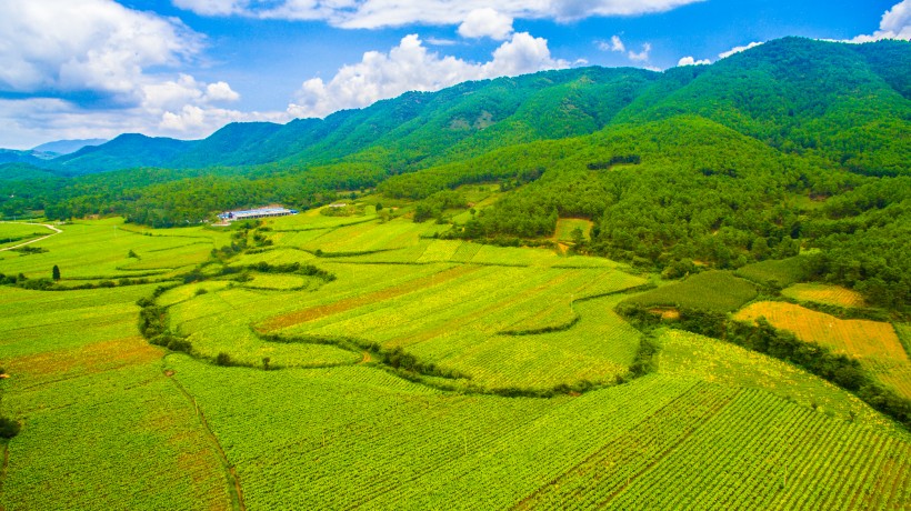 浙江台州航拍彌勒生态山谷風景圖片