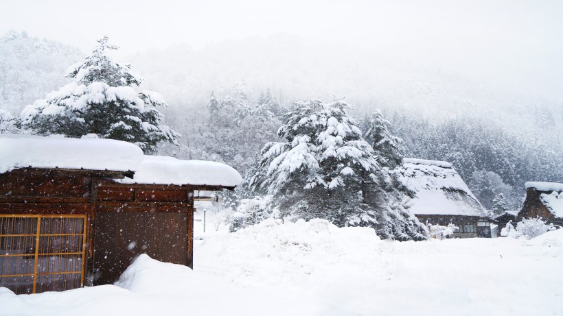 日本白川鄉雪景風景圖片