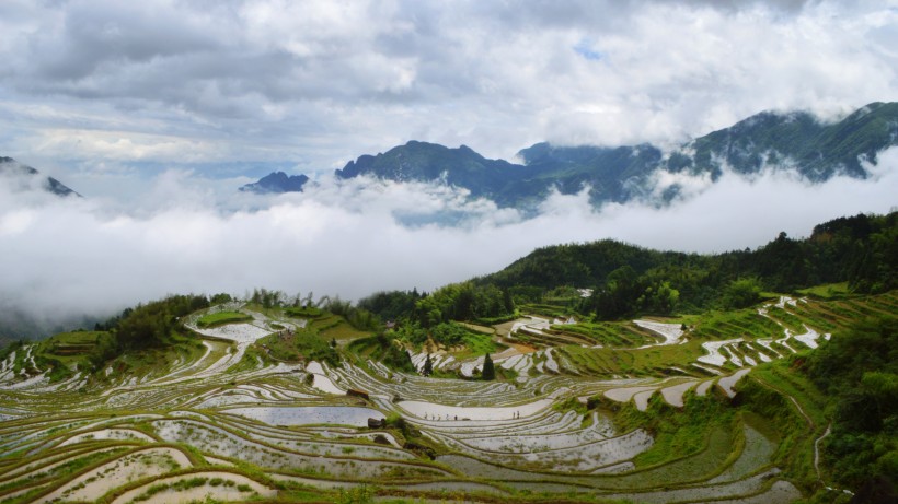 浙江麗水雲和梯田自然風景圖片