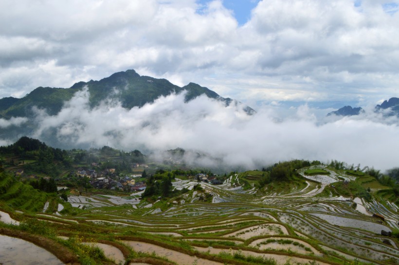 浙江麗水雲和梯田自然風景圖片