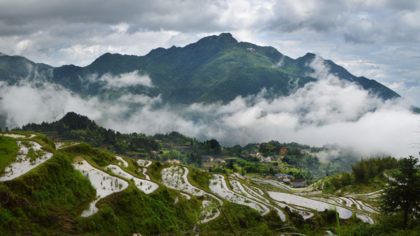 浙江麗水雲和梯田自然風景圖片