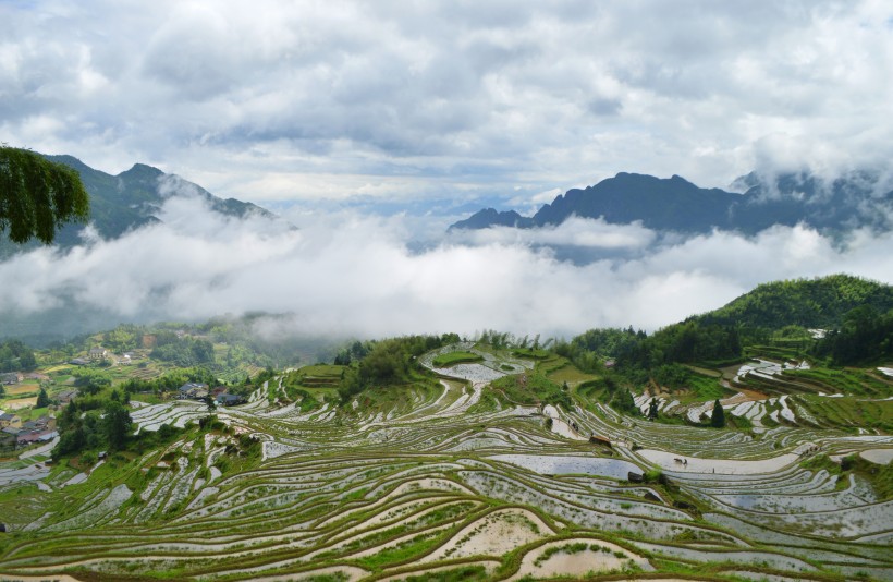 浙江麗水雲和梯田自然風景圖片