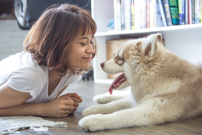 美女和狗狗圖片