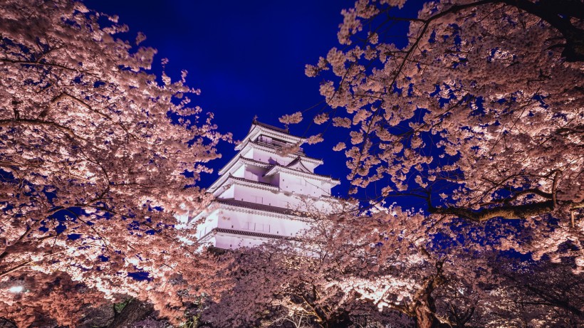 日本東京淺草寺人文風景圖片