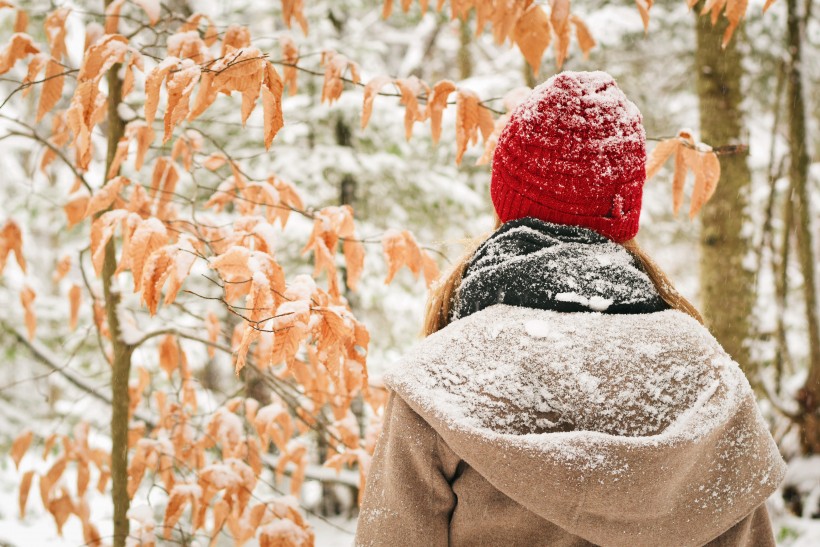 雪地裡的美女圖片