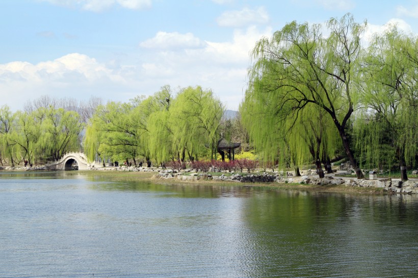 北京圓明園遺址公園圖片