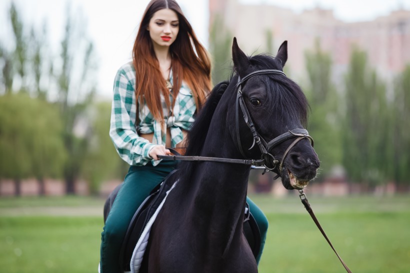 美女訓馬師圖片