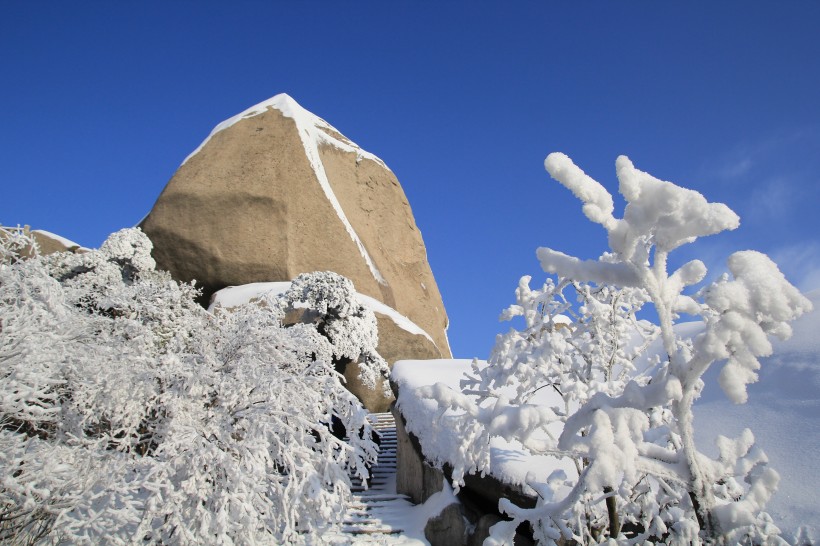 安徽安慶天竺山雪景圖片