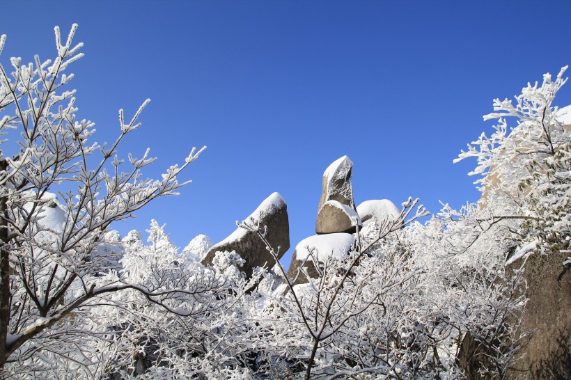 安徽安慶天竺山雪景圖片