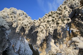 安徽安慶天竺山雪景圖片
