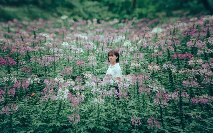 短發美女戶外寫真圖片