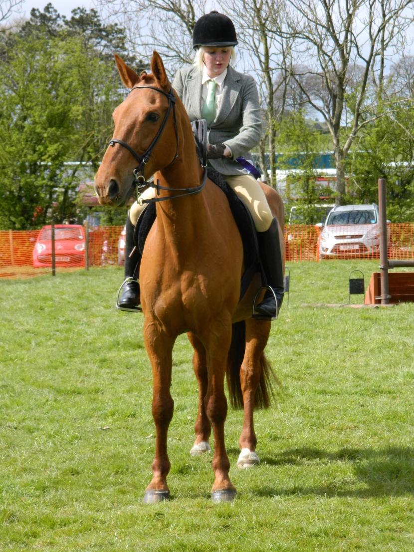 騎馬運動圖片