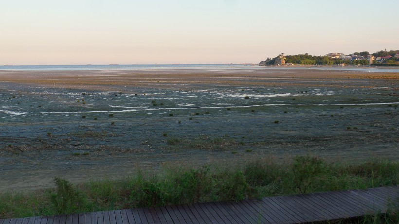 河北秦皇島北戴河濕地風景桌面壁紙